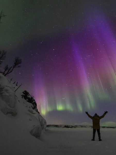 Mass Image Compressor Compressed this image. https://sourceforge.net/projects/icompress/ with Quality:70