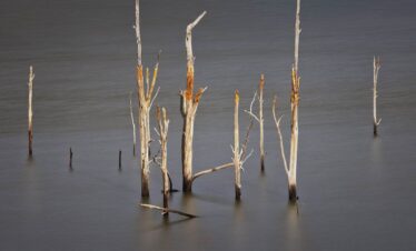 Fotografía abstracta de formaciones de sedimentos minerales modeladas por el movimiento del agua y la deposición natural. La imagen muestra líneas fluidas, texturas estratificadas y transiciones suaves entre tonos amarillos, azules y anaranjados, reflejando procesos geológicos y dinámicas naturales.