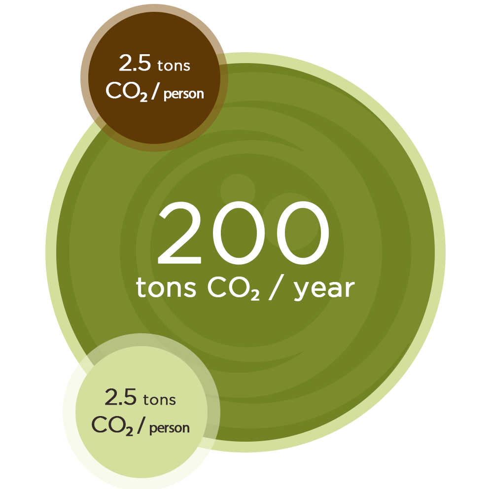 grafico sostenibilidad