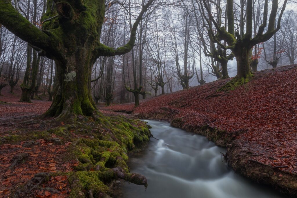Naturaleza, arquitectura y luz otoñal