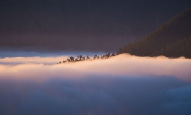 Cadena montañosa cubierta de niebla al atardecer con pinos emergiendo entre las nubes y cielo violáceo