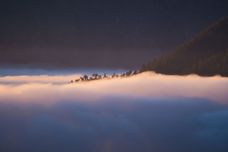 Cadena montañosa cubierta de niebla al atardecer con pinos emergiendo entre las nubes y cielo violáceo