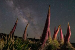 La Palma · May 2027