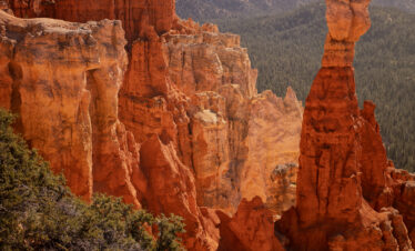 Formaciones rocosas de arenisca roja en Bryce Canyon con bosque de coníferas al fondo y cielo azul con nubes