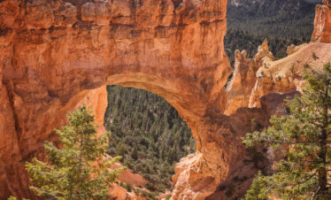 Arco de roca roja en Bryce Canyon con bosque de coníferas y montañas al fondo