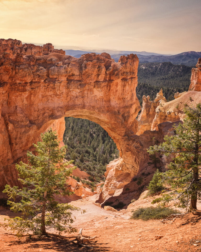 Arco de roca roja en Bryce Canyon con bosque de coníferas y montañas al fondo