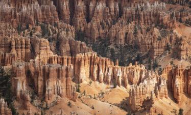 Formaciones rocosas de hoodoos en Bryce Canyon con vegetación dispersa y capas de roca roja y blanca