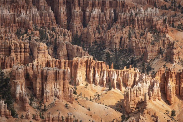 Formaciones rocosas de hoodoos en Bryce Canyon con vegetación dispersa y capas de roca roja y blanca