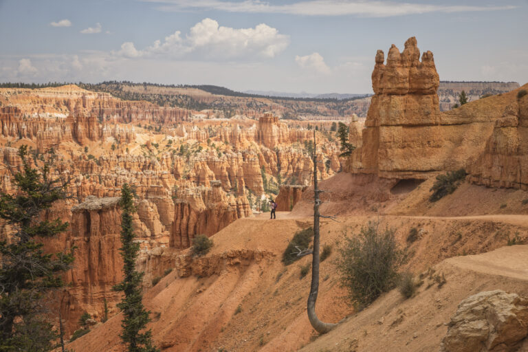 Cañón de Bryce con formaciones de hoodoos de roca roja y senderista en el valle, montañas al fondo