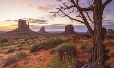 Árbol muerto en primer plano frente a los monumentos de Monument Valley al atardecer