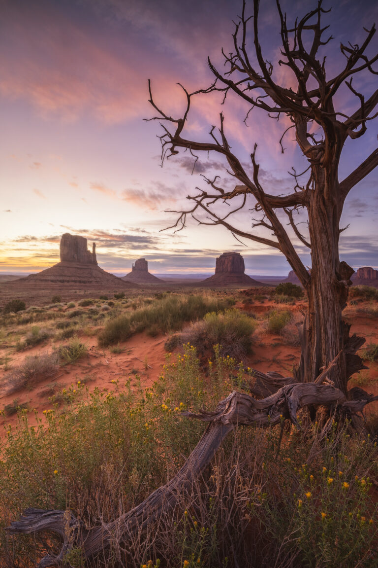 Árbol muerto en primer plano frente a los monumentos de Monument Valley al atardecer