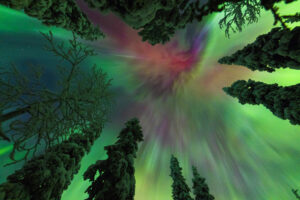 Lapland · January 2027