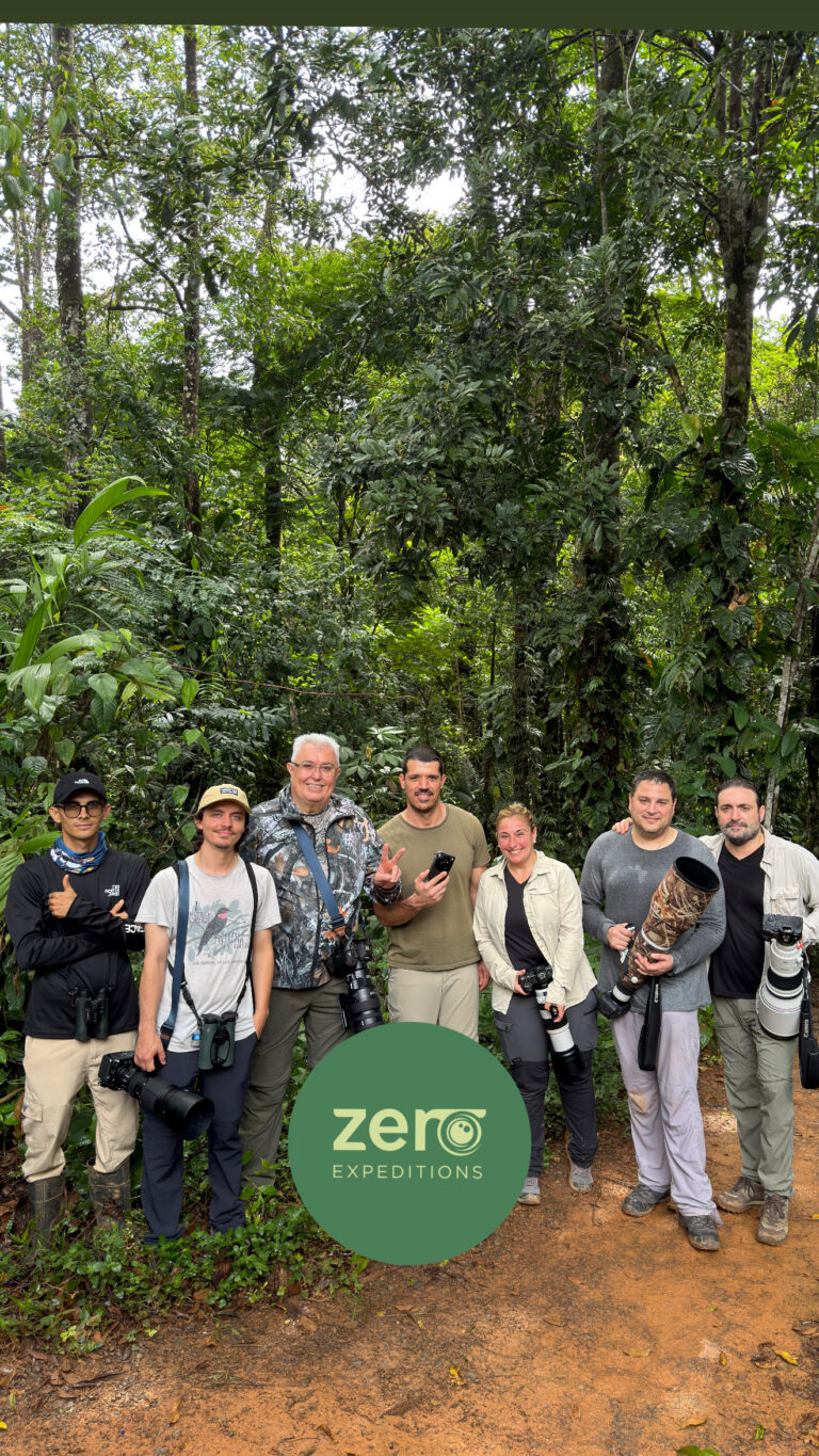 Grupo de siete fotógrafos y guías de expedición en la selva tropical con equipos de fotografía profesional