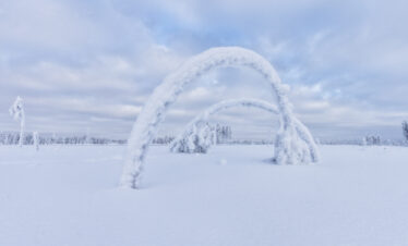 Árboles cubiertos de nieve formando un arco natural en la tundra de Laponia, Finlandia