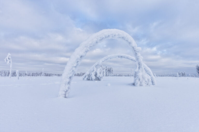 Árboles cubiertos de nieve formando un arco natural en la tundra de Laponia, Finlandia