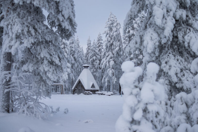 Cabaña de madera con techo nevado rodeada de abetos cubiertos de nieve en bosque de Laponia