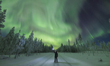 Viajero contempla la aurora boreal sobre bosque nevado de Laponia
