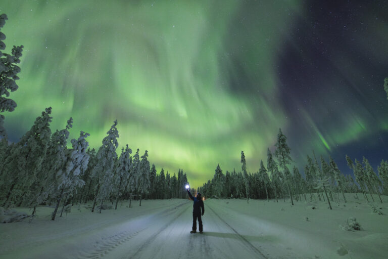 Viajero contempla la aurora boreal sobre bosque nevado de Laponia