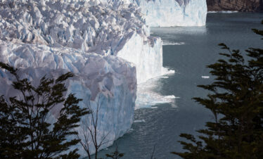 Glaciar Perito Moreno con frente blanco masivo sobre lago turquesa rodeado de bosque patagónico