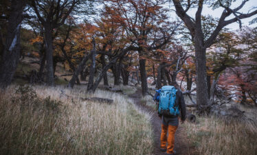 Excursionista con mochila azul camina entre árboles otoñales en sendero de tierra en Patagonia