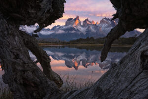 Otoñada en la Patagonia 2027