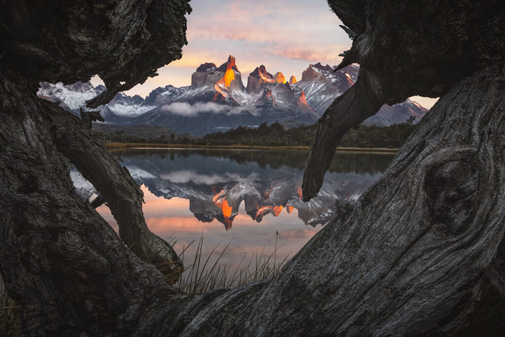 Montañas nevadas de la Patagonia reflejadas en lago calmo, vistas a través de troncos de árbol en primer plano al atardecer
