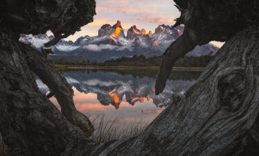 Montañas nevadas de la Patagonia reflejadas en lago calmo, vistas a través de troncos de árbol en primer plano al atardecer