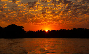 Puesta de sol sobre el río del Pantanal brasileño con árboles en silueta y cielo naranja ardiente