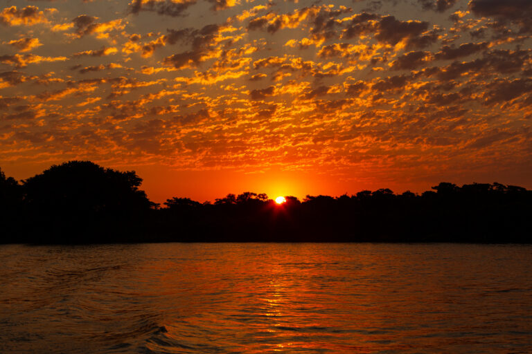 Puesta de sol sobre el río del Pantanal brasileño con árboles en silueta y cielo naranja ardiente