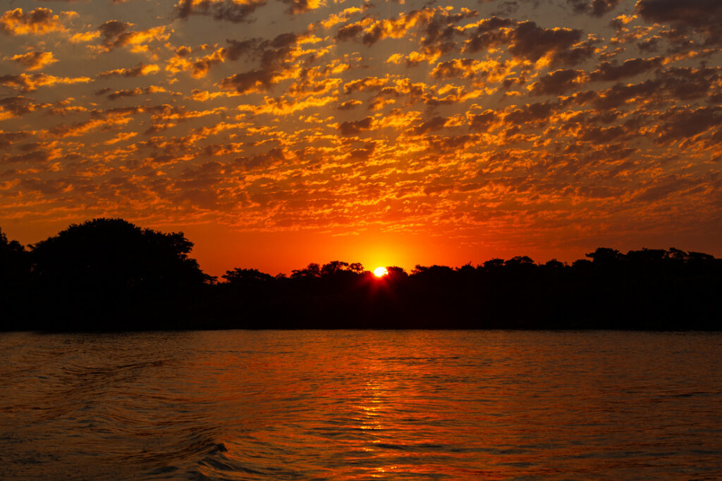 Puesta de sol sobre río del Pantanal con árboles silhueteados y cielo dorado con nubes