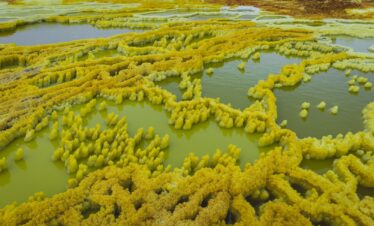 Bosque de cipreses amarillos reflejados en lagunas geotérmicas de aguas verdeazuladas en Etiopía