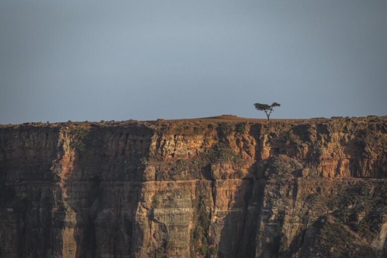 Árbol solitario en la cima de acantilados rocosos al atardecer en Etiopía
