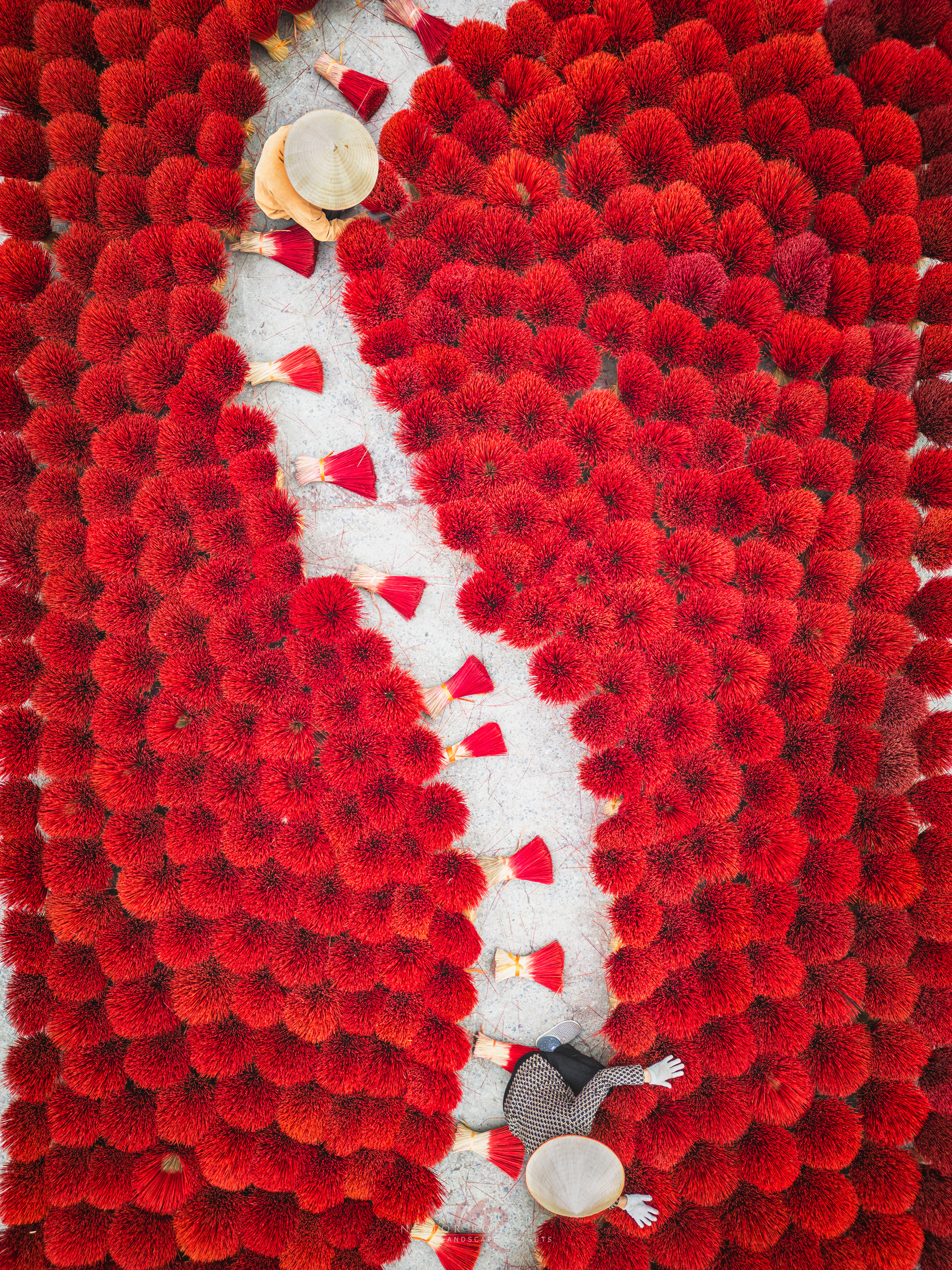Vista aérea de vendedora vietnamita rodeada de flores rojas secas en el suelo blanco, con cuencos y telas rojas