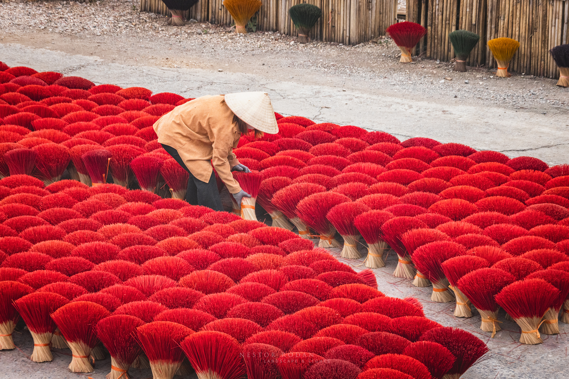 Artesano vietnamita trabaja con conos de incienso rojo tendidos en el suelo para secar bajo el sol