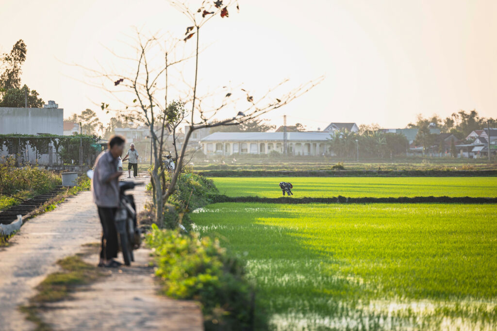 Personas caminando por sendero rural junto a arrozales inundados en Vietnam, con edificios tradicionales al fondo