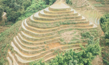 Terrazas de arroz escalonadas en ladera montañosa con sendero sinuoso, vegetación y casa rural al fondo