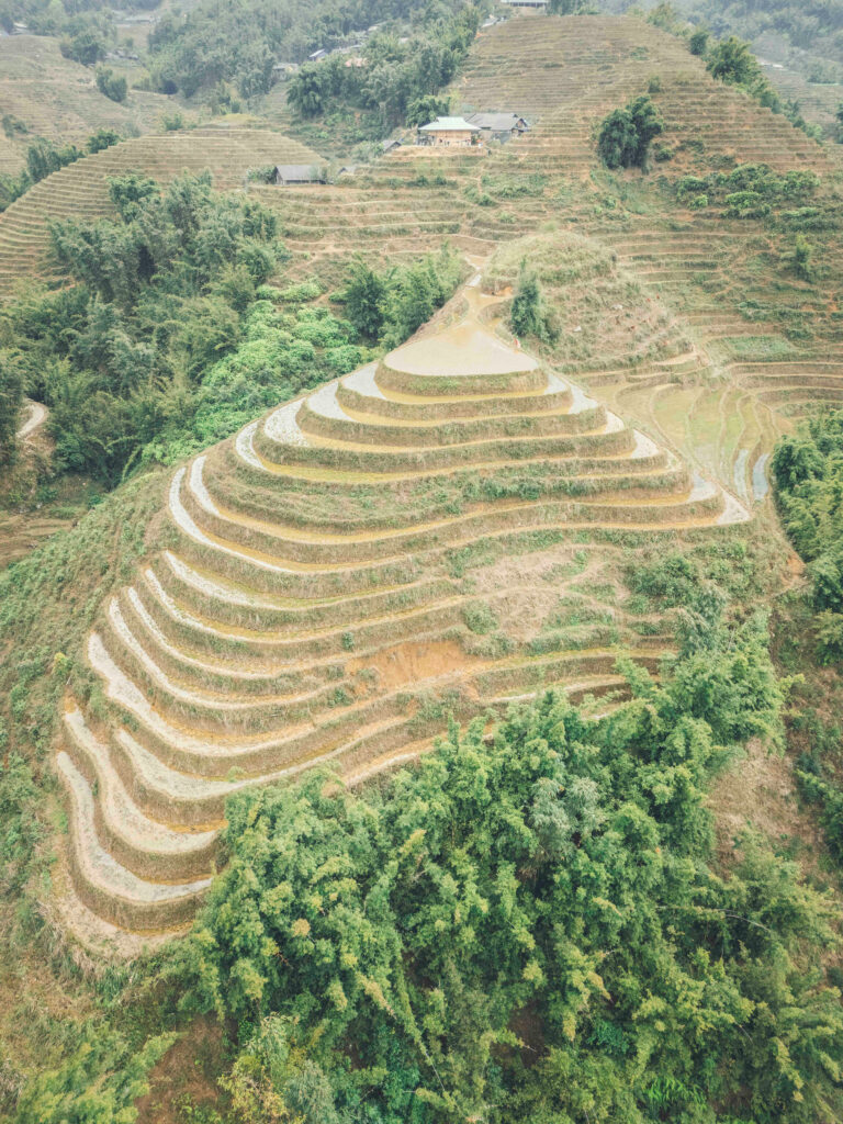 Terrazas de arroz escalonadas en ladera montañosa con sendero sinuoso, vegetación y casa rural al fondo