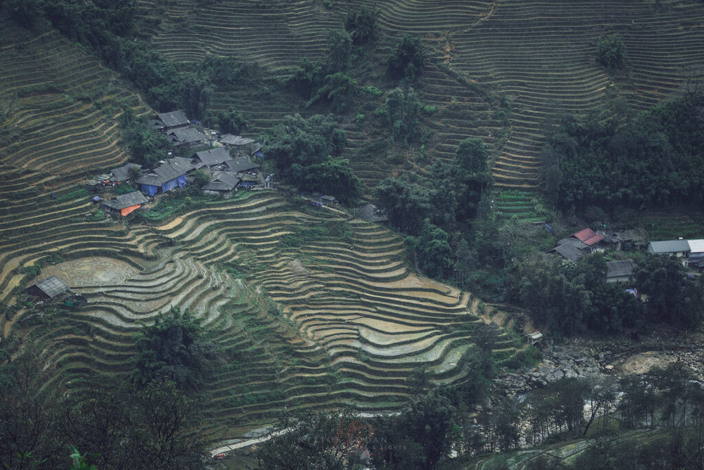 Terrazas de arroz escalonadas en verde intenso con casas tradicionales dispersas entre cultivos en zona montañosa de Vietnam