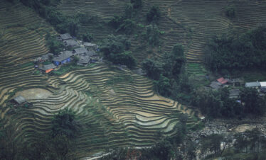 Terrazas de arroz escalonadas en verde intenso con casas tradicionales dispersas entre cultivos en zona montañosa de Vietnam