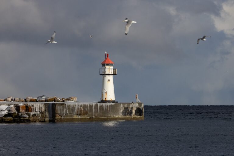 Faro blanco con torre roja en rompeolas de piedra, gaviotas volando sobre el mar gris
