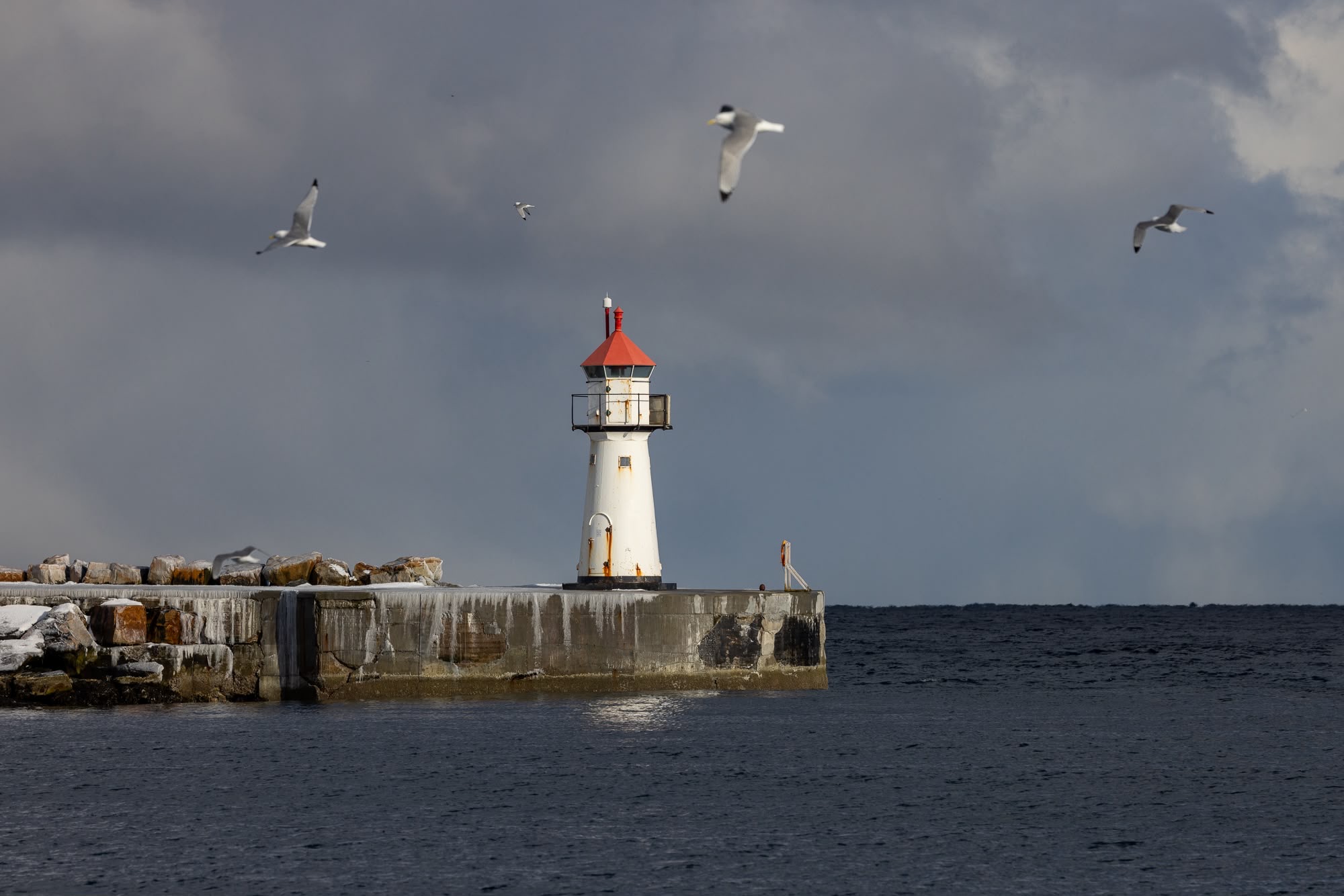 Faro blanco con torre roja en rompeolas de piedra, gaviotas volando sobre el mar gris