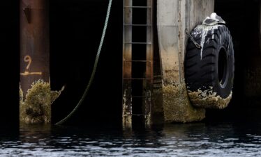 Neumático usado como boya en muelle oxidado cubierto de algas, agua marina oscura al fondo
