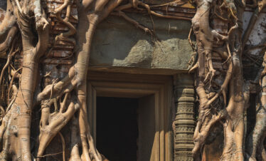 Puerta de templo antiguo envuelta en raíces de árbol centenario en Camboya