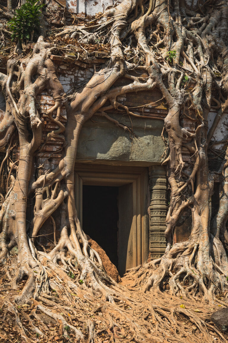 Puerta de templo antiguo envuelta en raíces de árbol centenario en Camboya