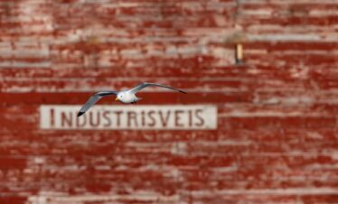 Gaviota en vuelo sobre pared de ladrillo rojo con texto industrial de fondo
