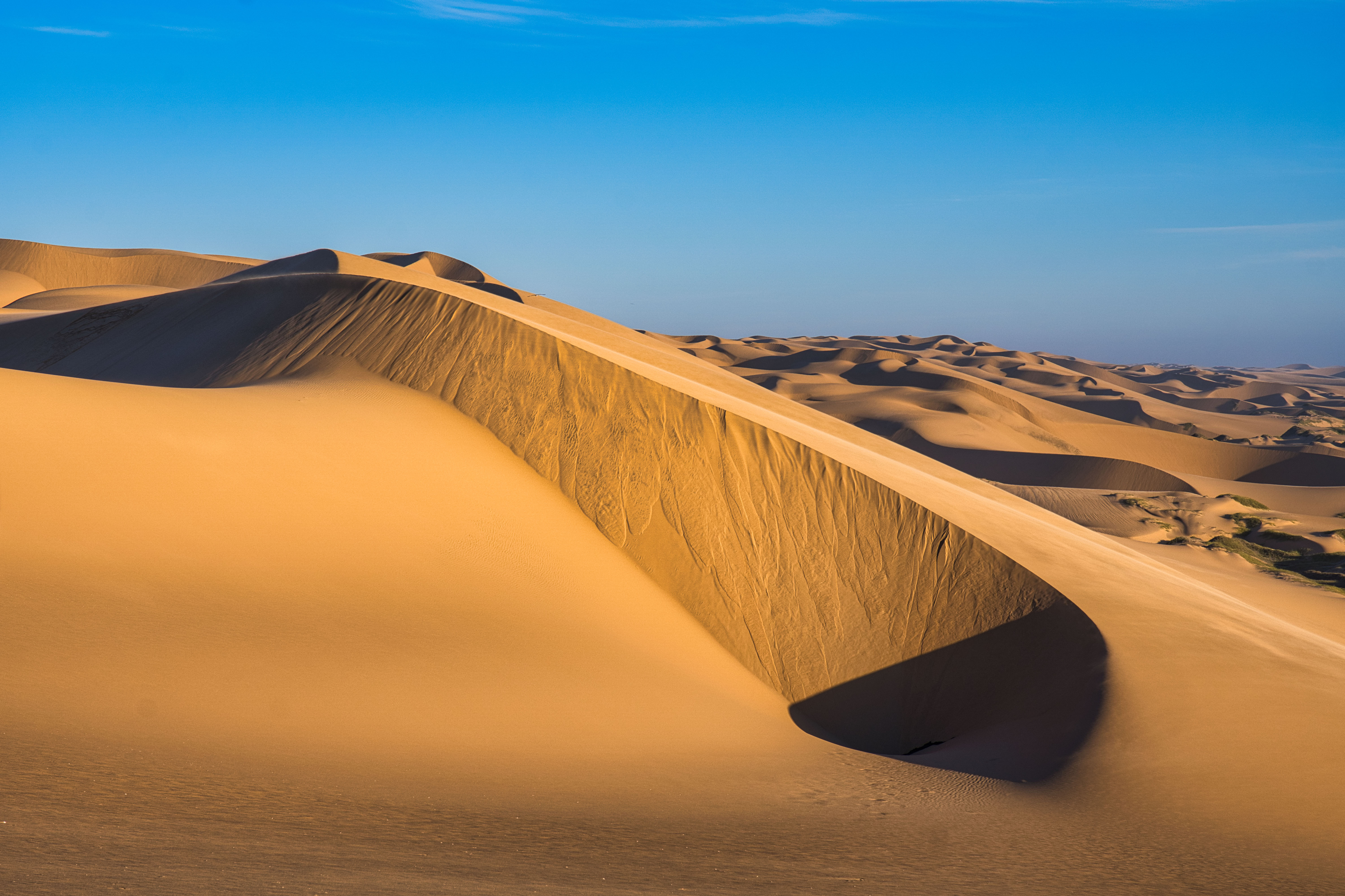 Dunas de arena dorada con profundas sombras en el desierto de Namibia bajo cielo azul