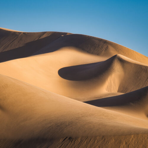 Dunas de arena dorada con sombras profundas bajo cielo azul despejado en el desierto de Namibia