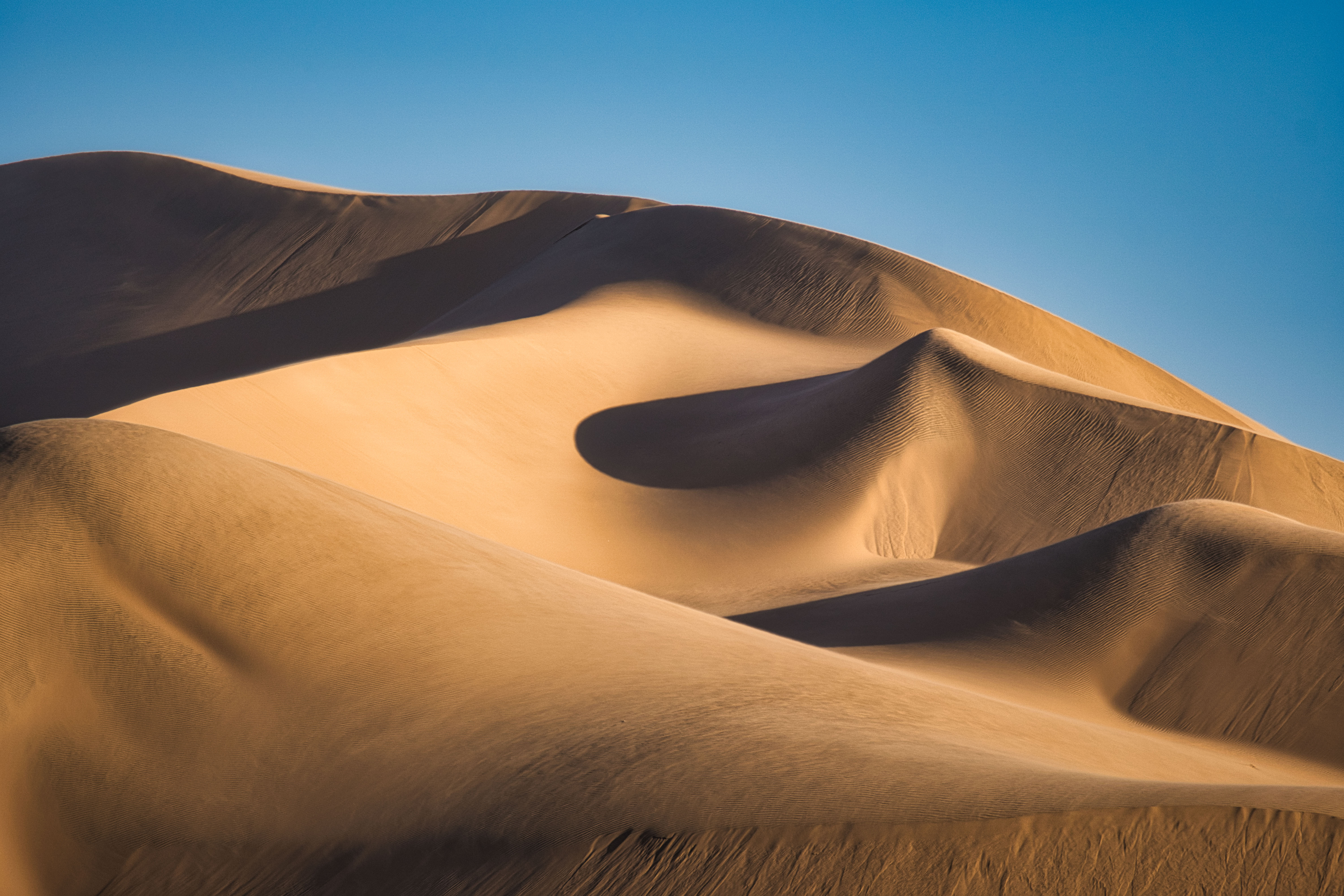 Dunas de arena dorada con sombras profundas bajo cielo azul despejado en el desierto de Namibia