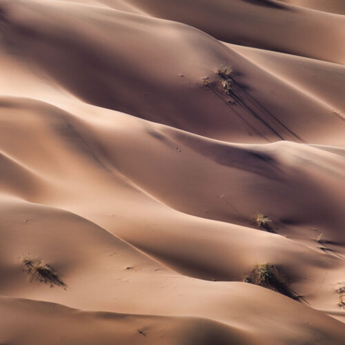 Dunas de arena del desierto de Namibia con vegetación dispersa y sombras marcadas por la luz lateral