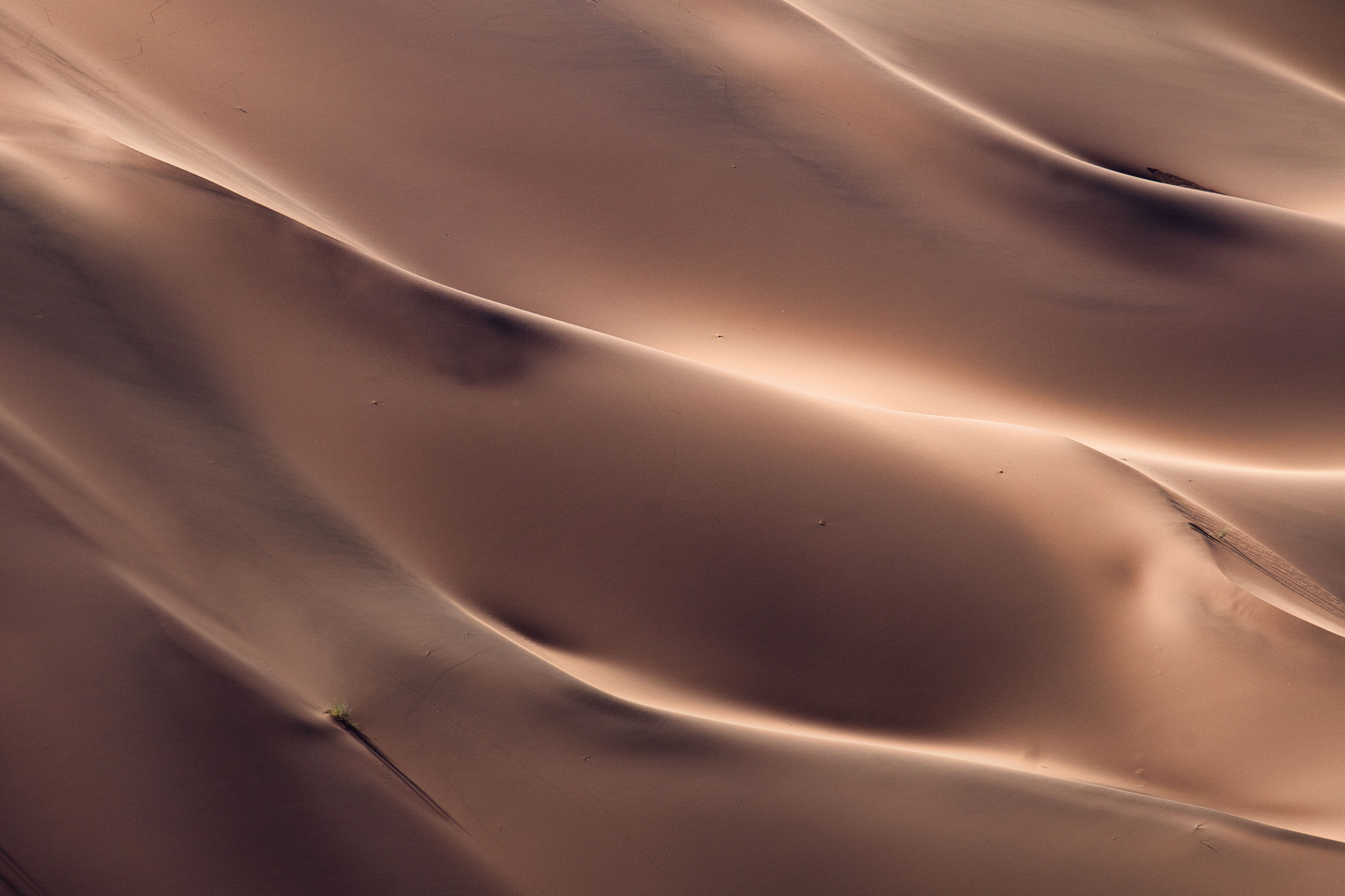 Dunas de arena del desierto de Namibia con ondulaciones y sombras en tonos cálidos